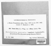 Image Associated With the Occurence